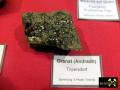 Vogtländische Mineralienbörse - Oelsnitz 12. Oktober 2014 (16).JPG